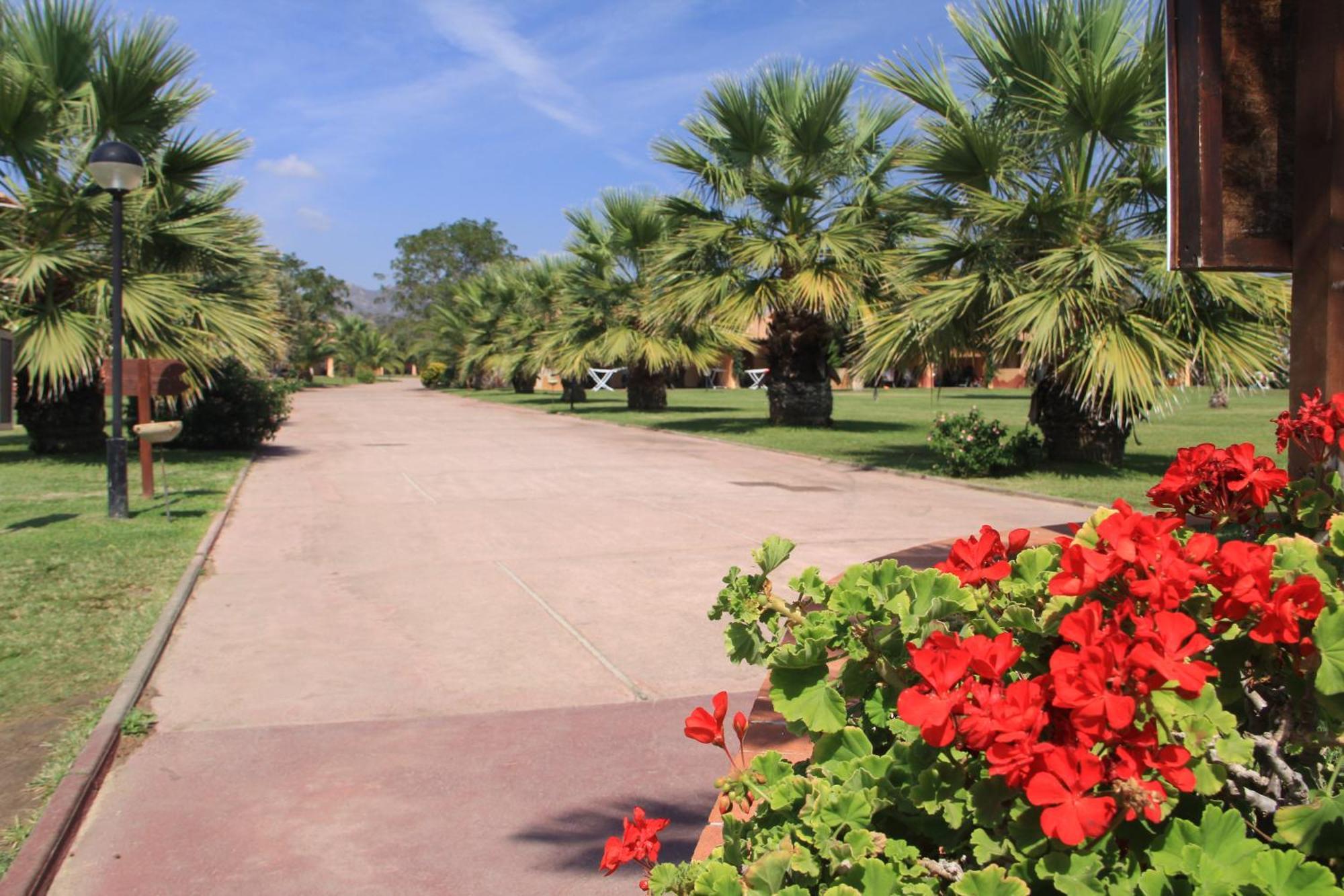 מונטה נאי Rey Beach Club מראה חיצוני תמונה